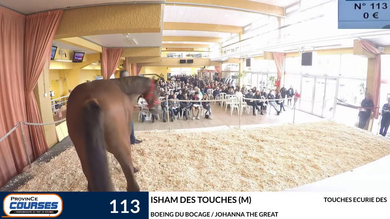 Ventes de Caen #JOUR2 partie 1