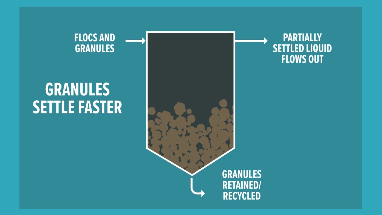 Aerobic Granular Sludge
