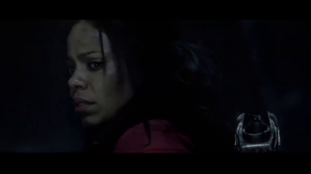 Alien Vs Predator - Enemy of my Enemy is my Friend (2004)