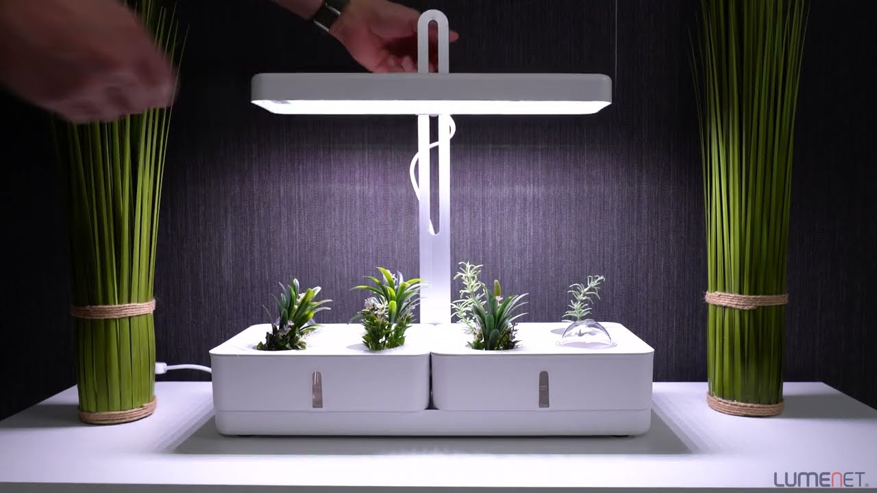 Ledvance Garden LED
