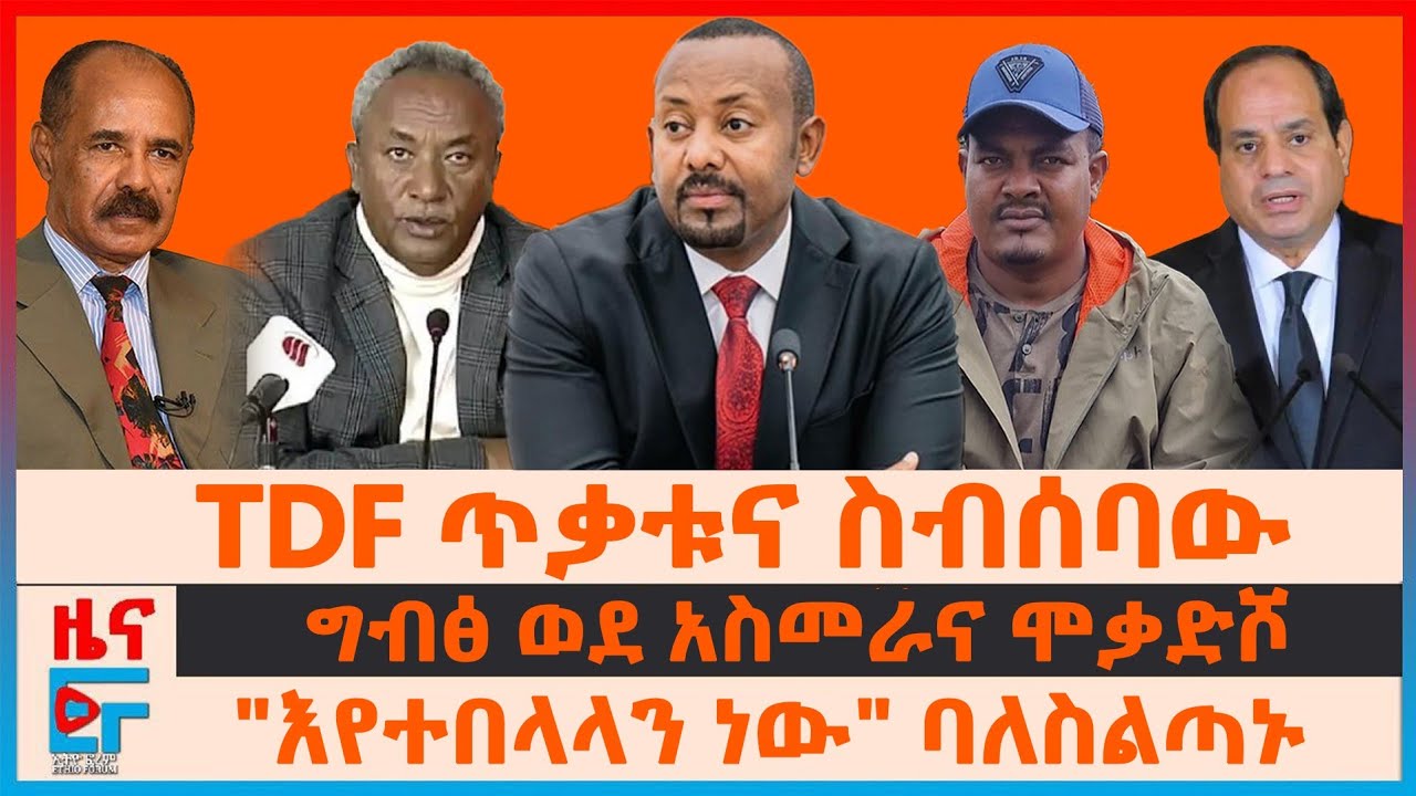 TDF ጥቃቱና የአዲስአበባው ስብሰባ፣ 