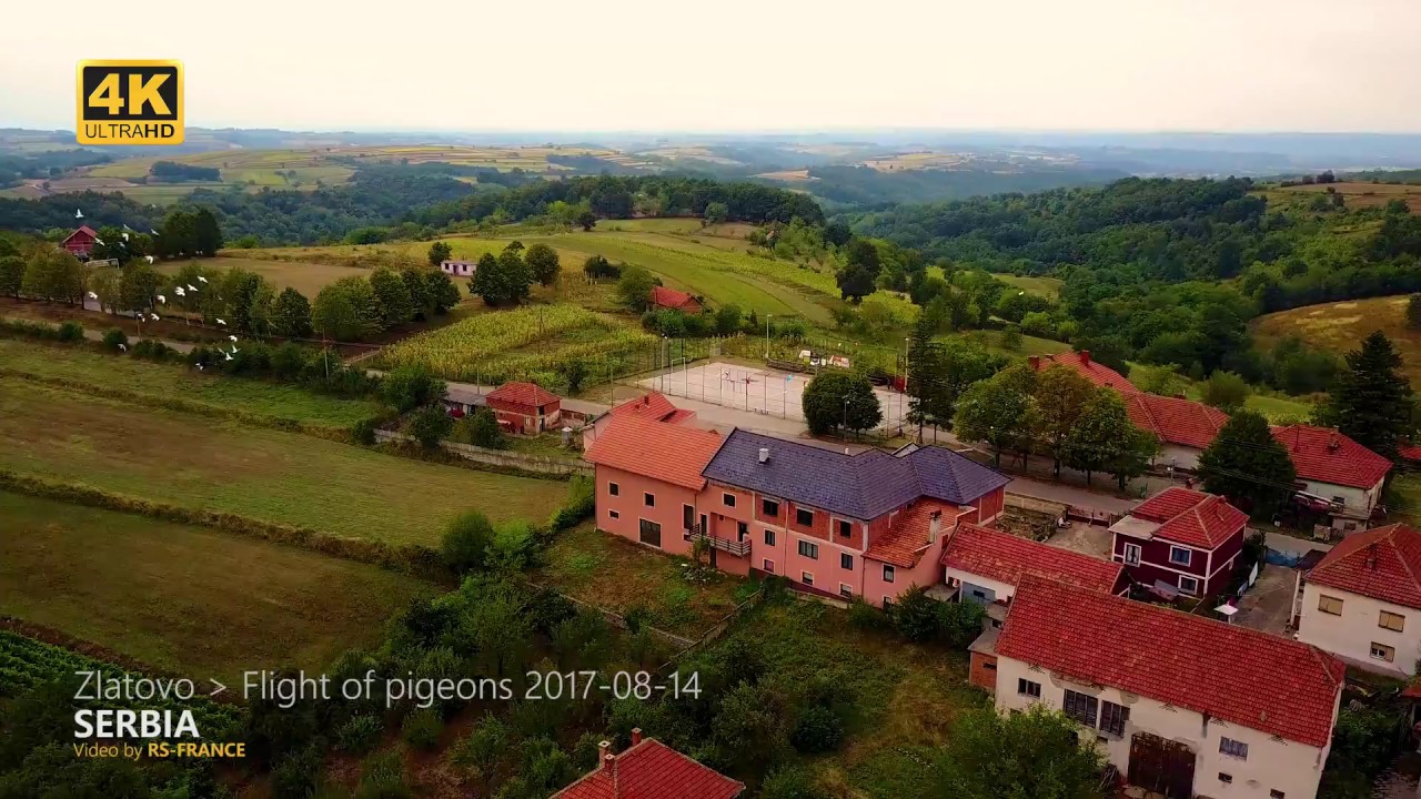 4K - Zlatovo flight of Pigeons - Better colors