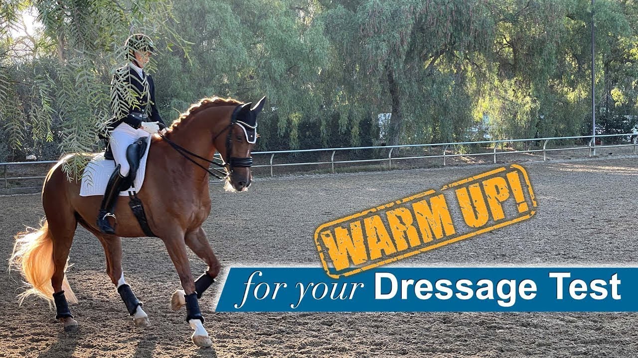 Warm Up for your Dressage Test