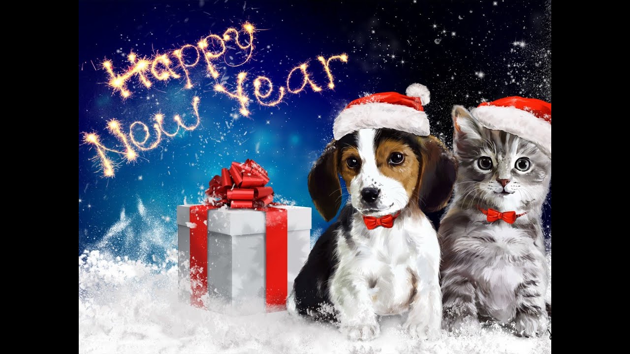 Christmas Kitten and Puppy Surprise - Kids Opening Christmas Presents Compilation 2016 HD