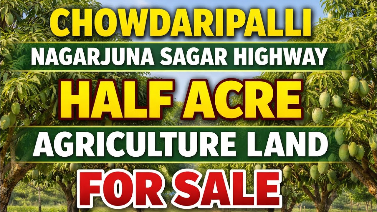 Chowdaripalli NAGARJUNA SAGAR HIGHWAY @VandeBharatProperties @V6NewsTelugu 
