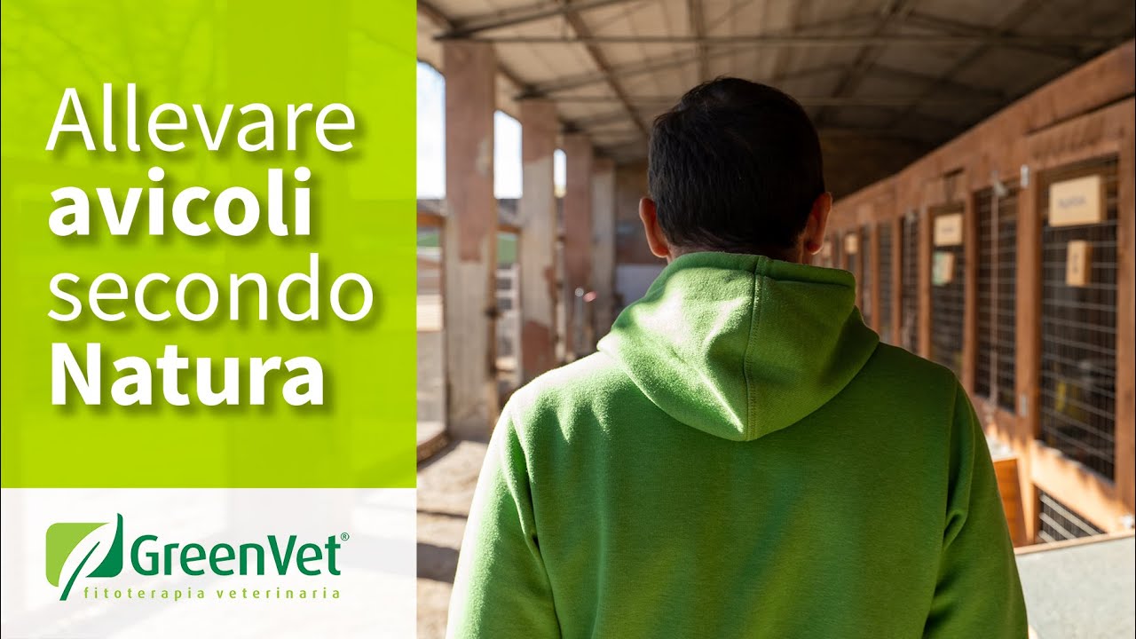 Nel Verde Mondo degli avicoli con GreenVet