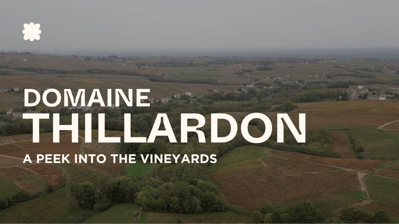 Domaine Thillardon &mdash; Ch&eacute;nas Chassignol (Autumn) | Beaujolais 🇫🇷
