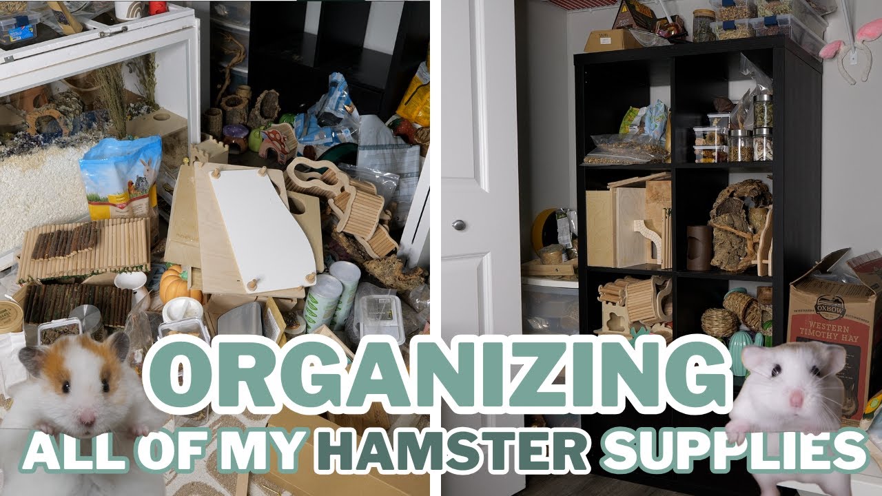 Organize ALL my Hamster Supplies with me!