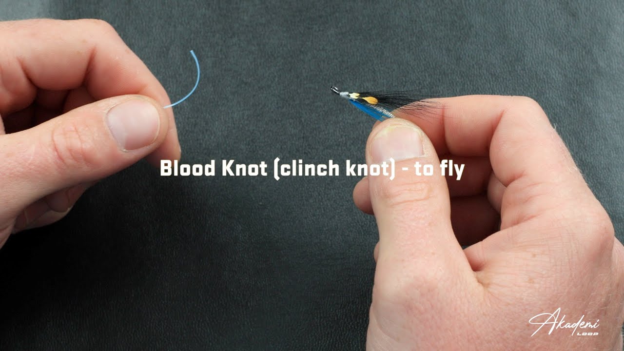 LOOP Akademi ~ Blood knot to fly