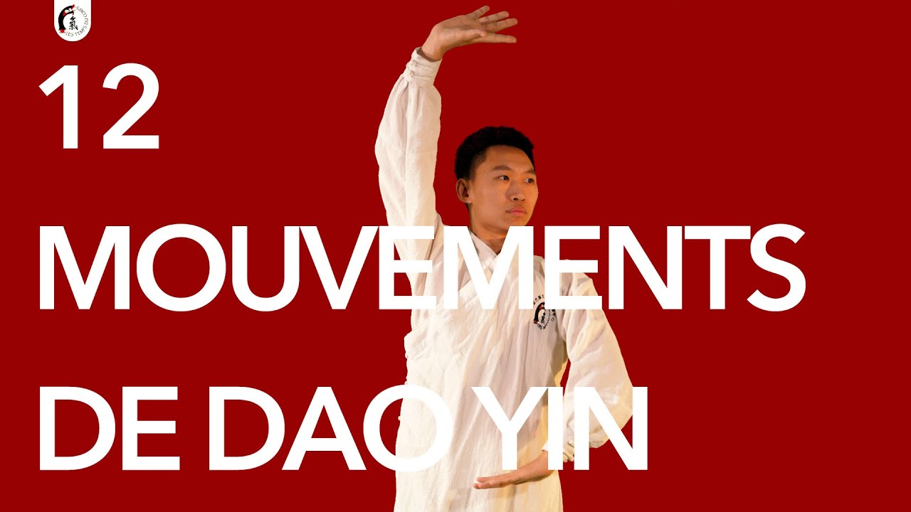 12 mouvements Dao Yin  avec LIN Sanzhe