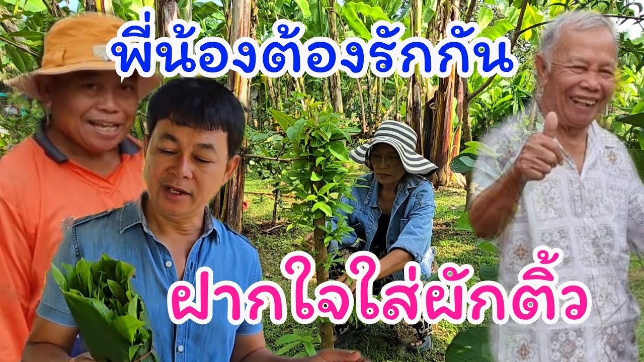 พี่น้องห่วงใย ฝากใจใส่ผักติ้ว #บ้านสวนกำภูEP1176