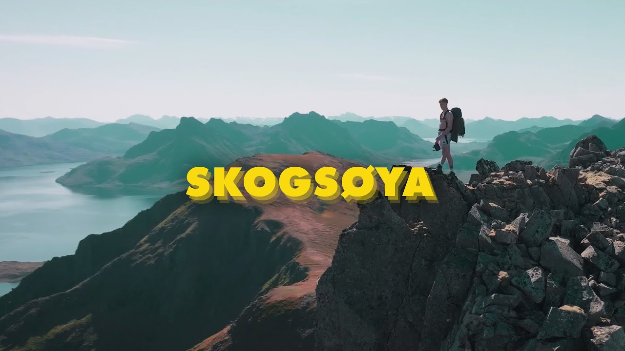 Skogsøya