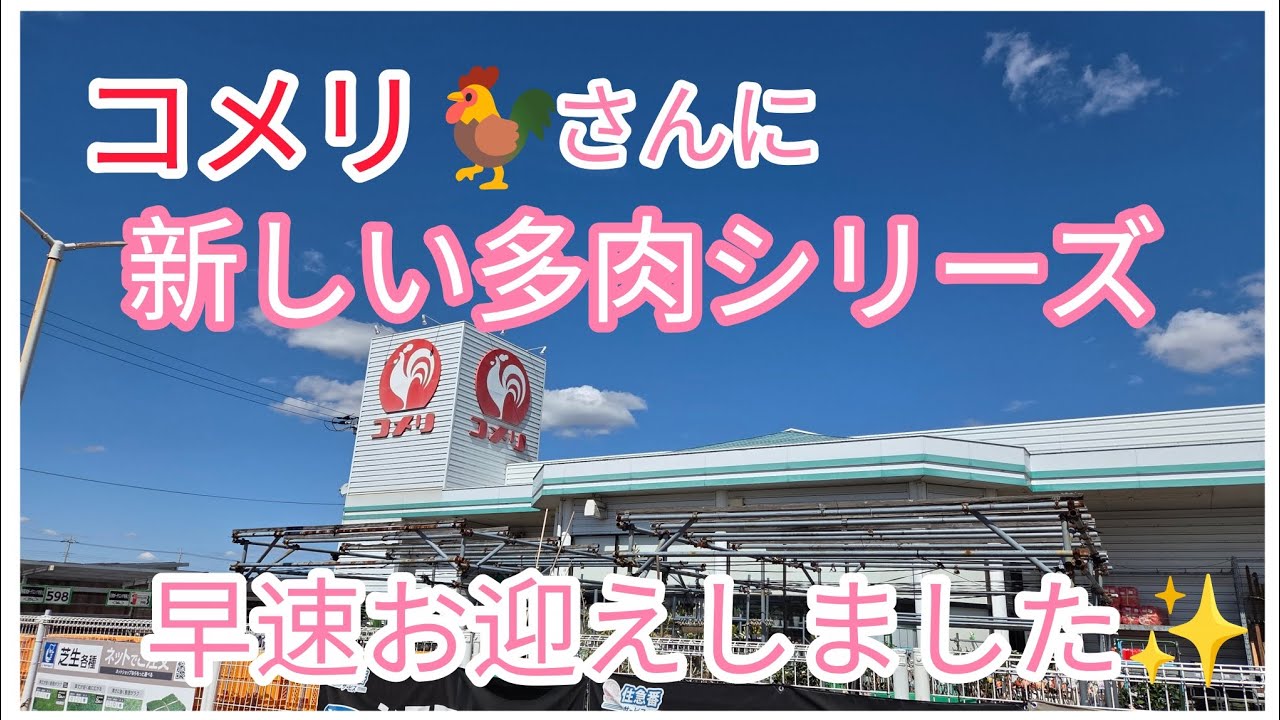 298円でもりもり、大苗🌵✨コメリ🐓さんへGO！！
