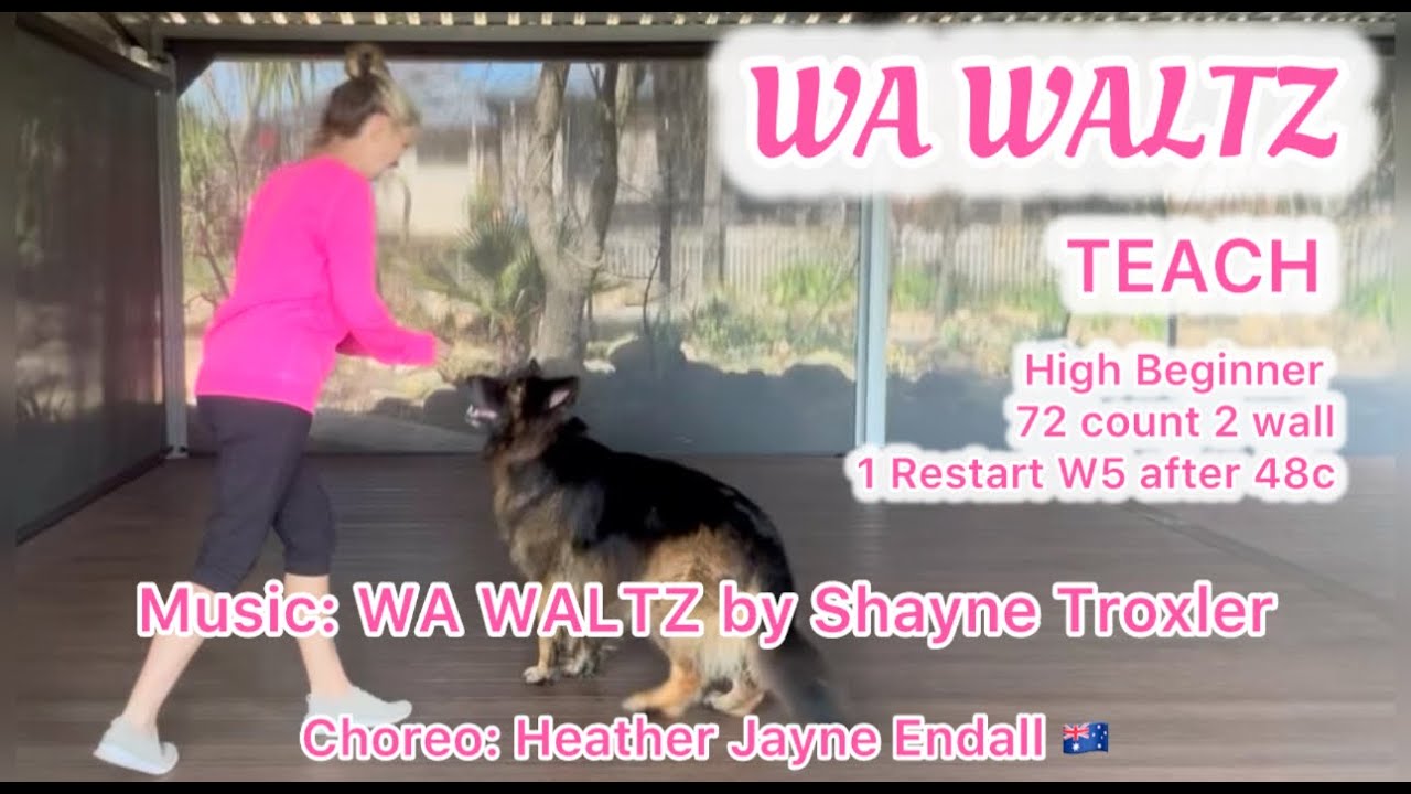 WA Waltz High Beginner TEACH