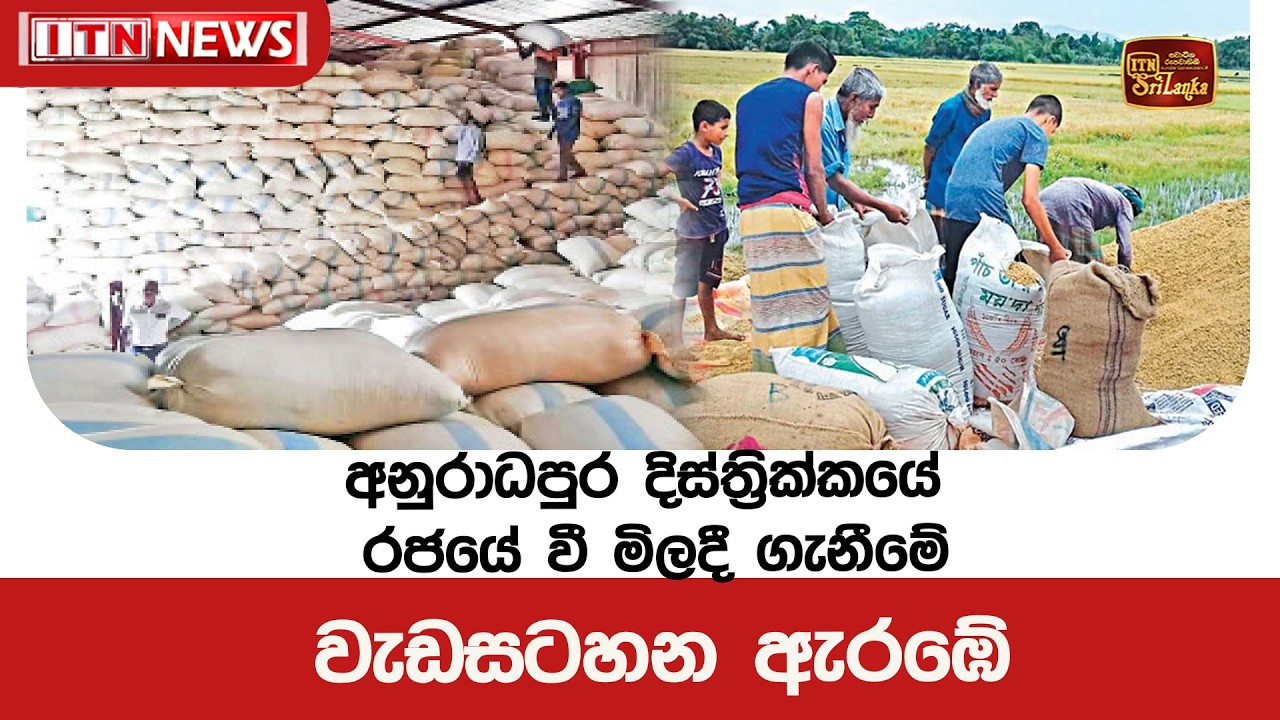 අනුරාධපුර දිස්ත‍්‍රික්කයේ රජයේ වී මිලදී ගැනීමේ වැඩසටහන ඇරඹේ