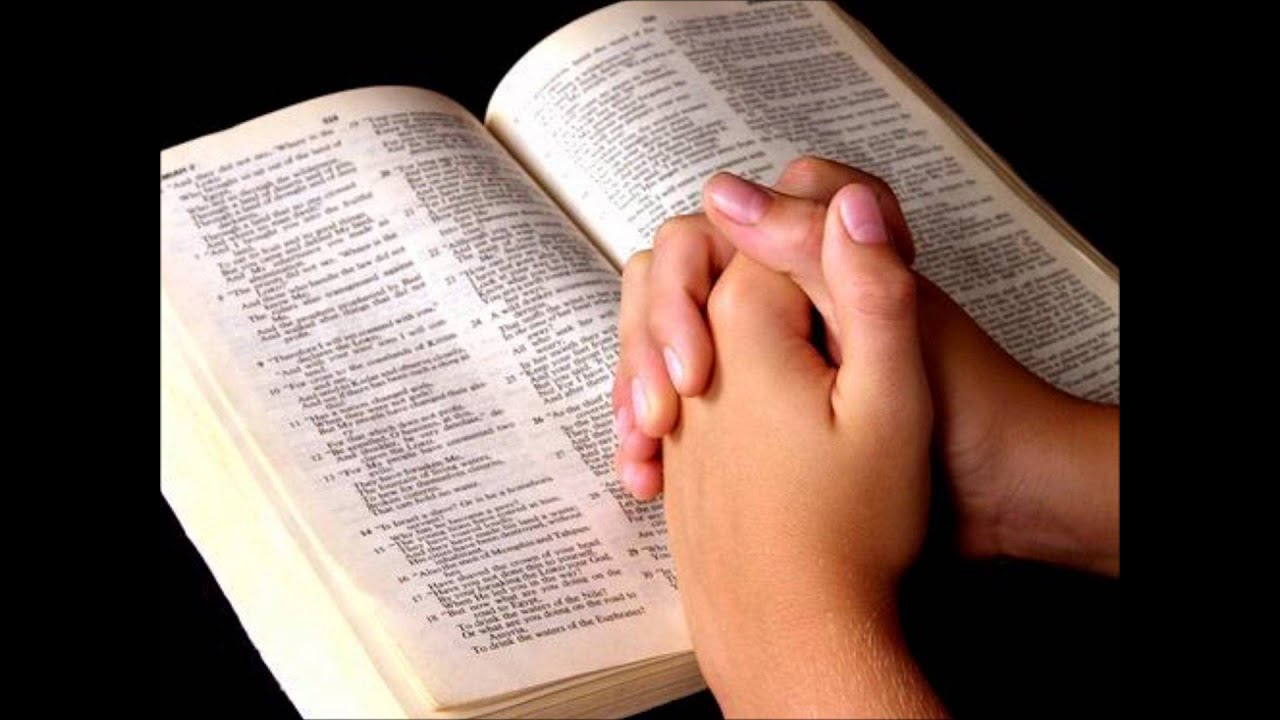 Geisiane amiga, eu te amo.