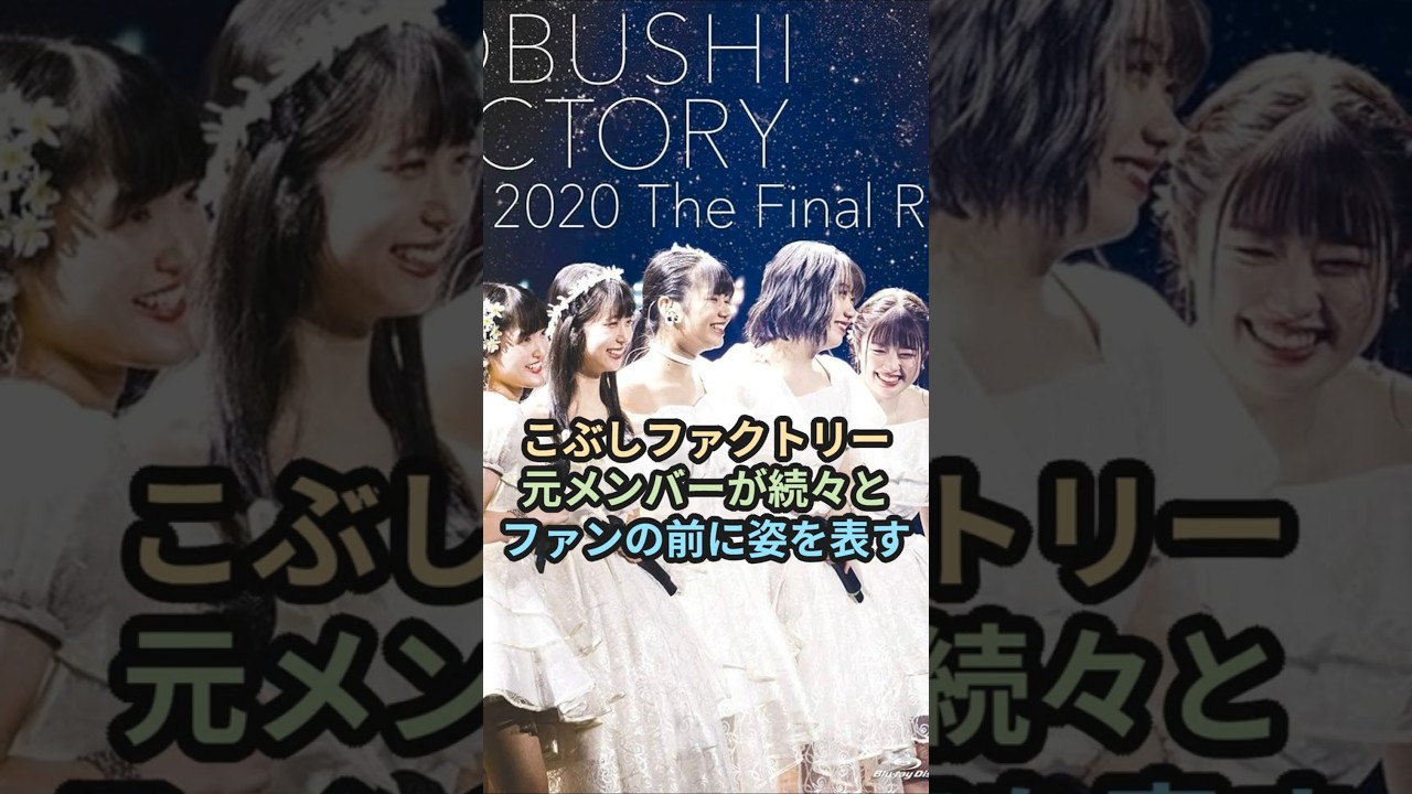 こぶしファクトリー、元メンバーが続々とファンの前に姿を表す #ハロプロ #こぶしファクトリー #井上玲音 #浜浦彩乃 #藤井梨央 #野村みな美 #和田桜子 #広瀬彩海 #shorts