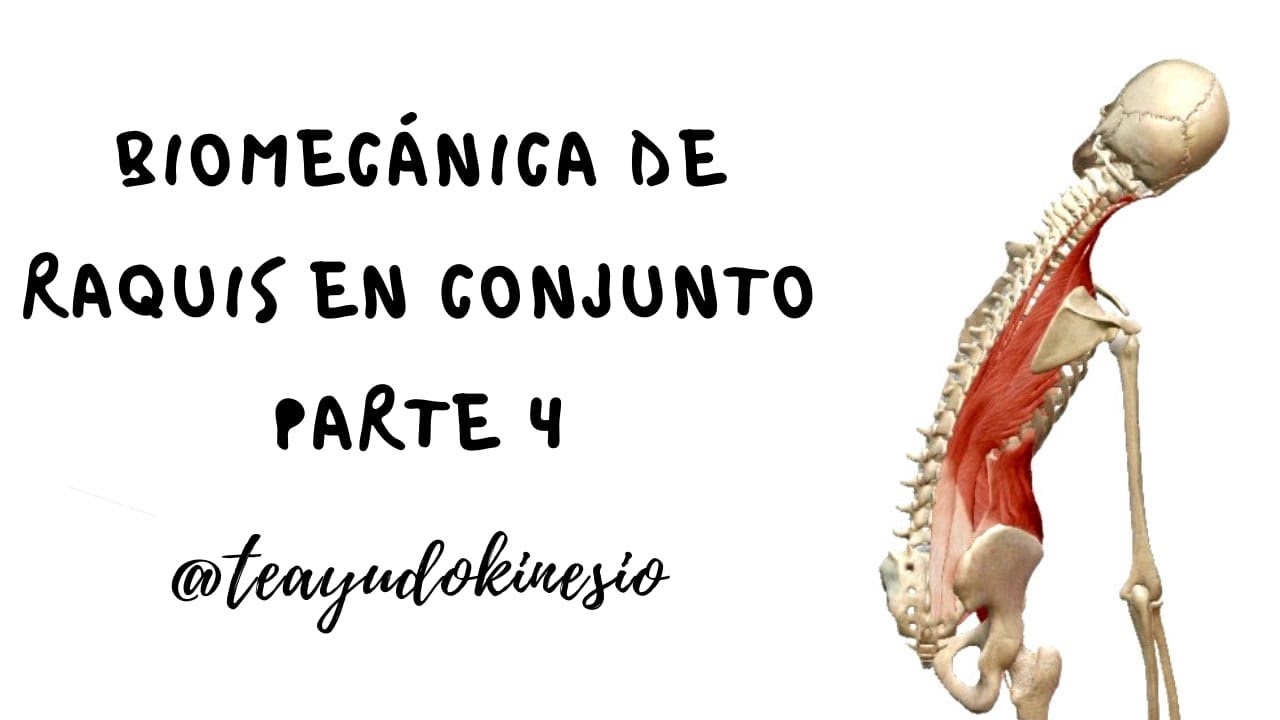 BIOMECÁNICA DE RAQUIS EN CONJUNTO 4° PARTE: MIOCINÉTICA