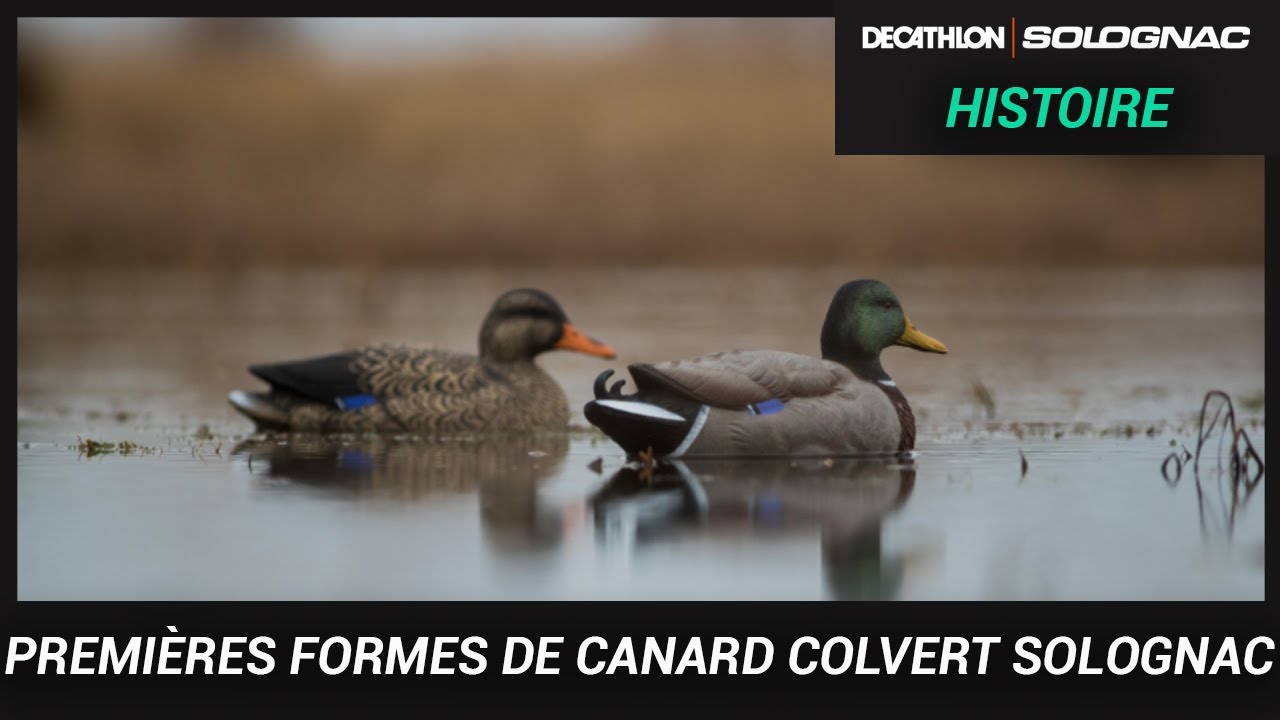FORMES DE CANARD SOLOGNAC : LA NOUVEAUTÉ 2020 POUR LA CHASSE DU GIBIER D'EAU