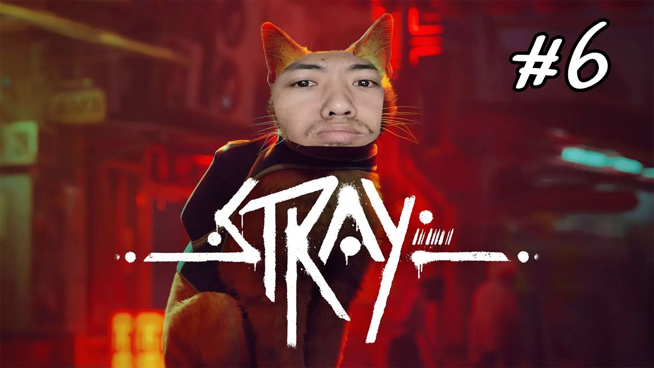 STRAY#6: PHÁ ĐẢO RỒI AE ƠI!