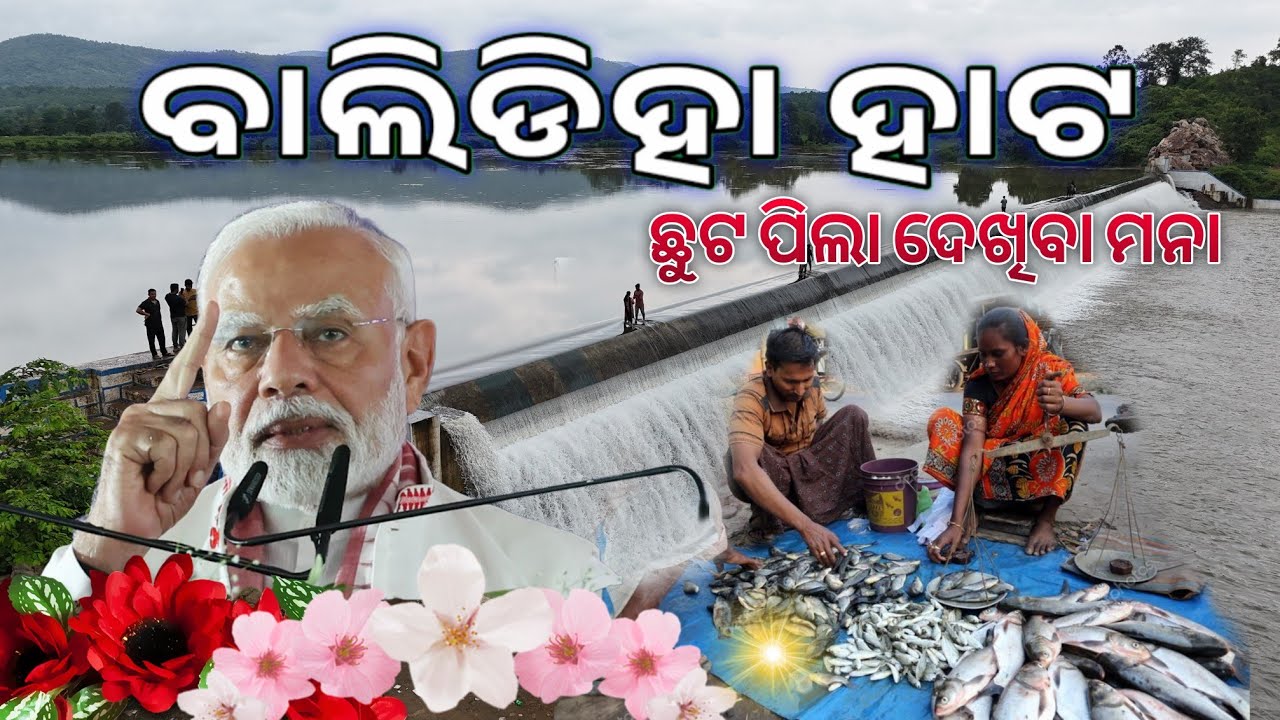 ବାଲିଡିହା ଡ୍ୟାମ ହାଟ BALIDIHA DAM HATA MAYURBHANJ HATO Video 🔥 Weekly Market odia gopal baripada