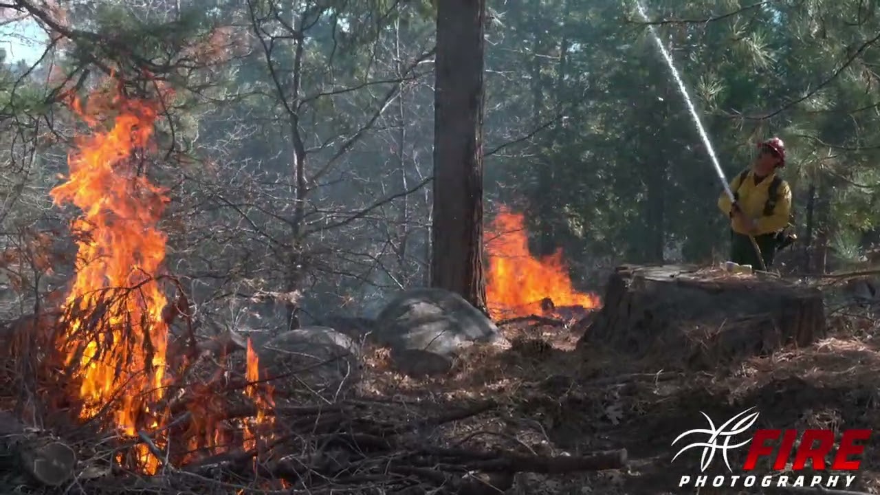 Lake Arrowhead - BDF Prescribed Pile Burn