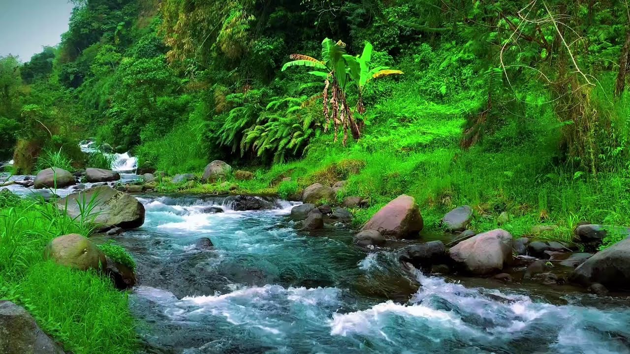 River Stream Sounds for Deep Sleep Insomnia Relief, Calming Soul and Night Relaxation