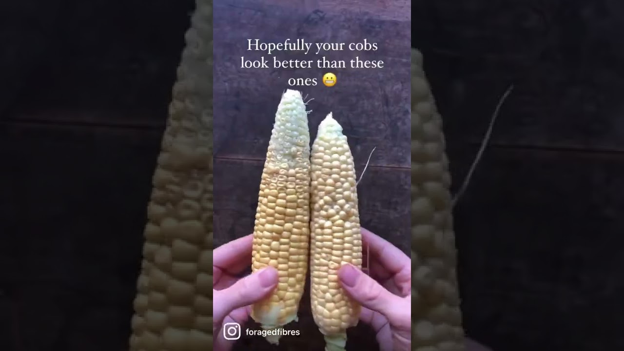 Corn Husk Cordage