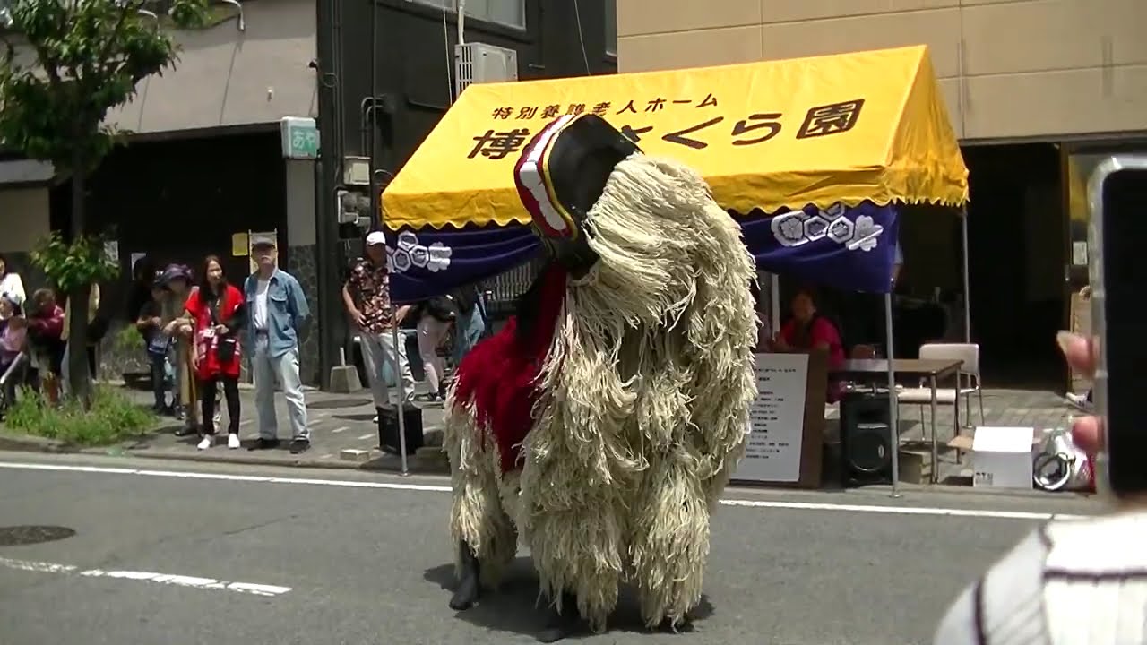 2025年5月3日　どんたく　琉球國祭り太鼓　土居通り　②　獅子