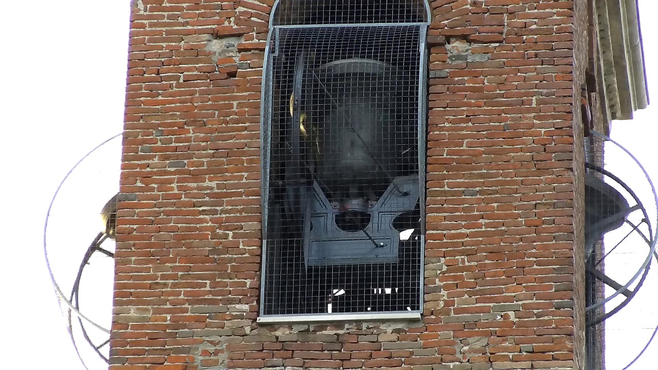 Campane di Salizzole (VR)