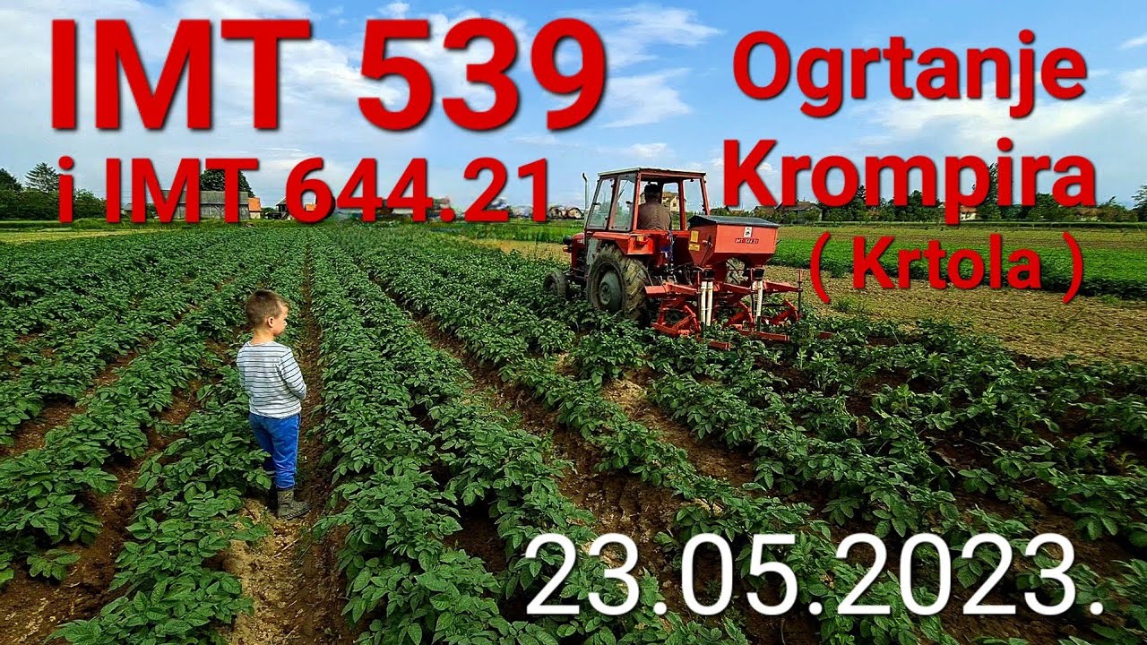 Ogrtanje i Prihrana Krompira ( Krtola ) 23.05.2023. IMT 539 i IMT 644.21