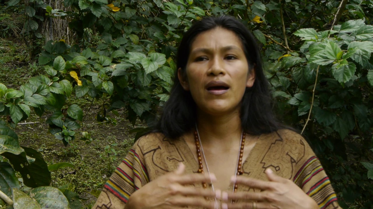 Ayme sings the icaro 