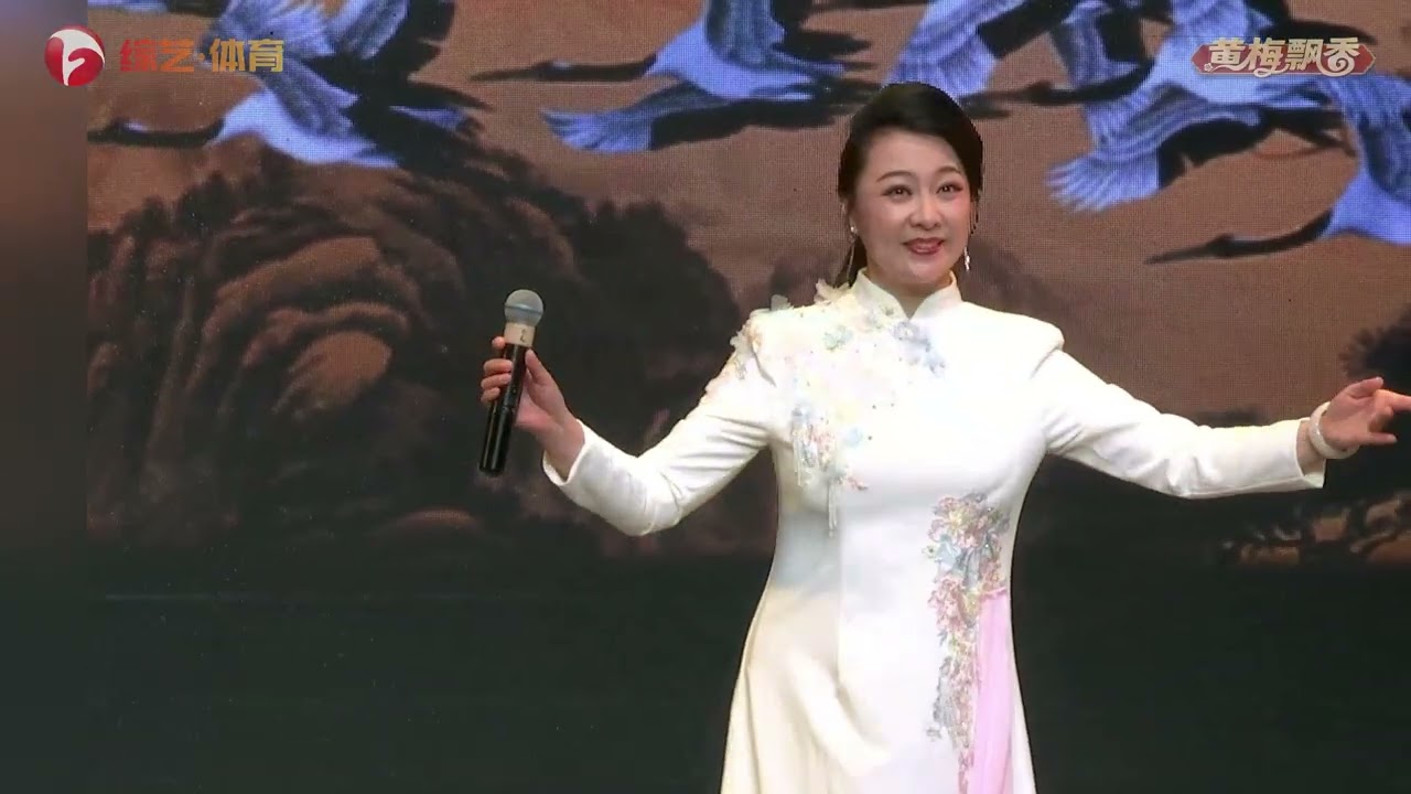 一级演员何云 《女驸马》状元府选段，嗓音清澈如天籁#黄梅戏 #好戏安徽 #国风古韵