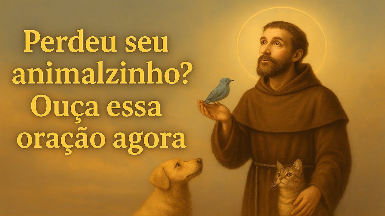 Oração poderosa para encontrar animais perdidos | São Francisco de Assis