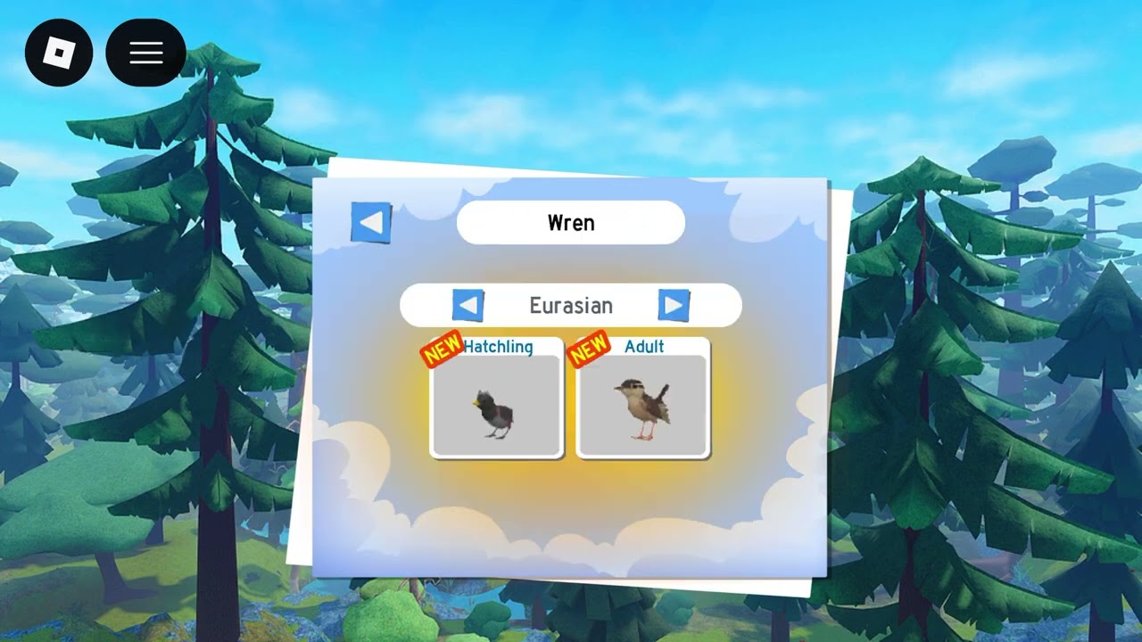 New wren in feather family 