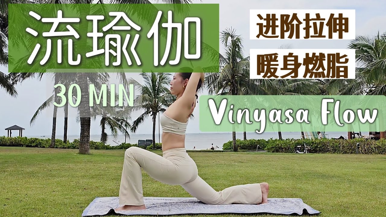 【30MIN全身流瑜伽】经络疏通•核心强化 •情绪舒缓（2026新年启程）Vinyasa flow