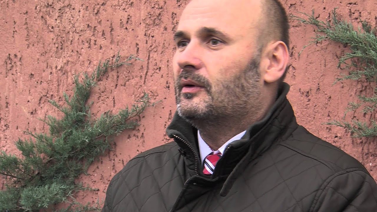 Piła: Łosie i wilki pod miastem