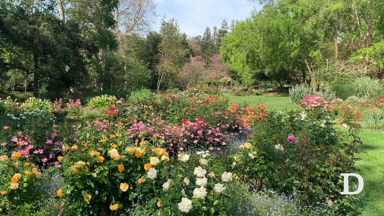 Rose Garden tour