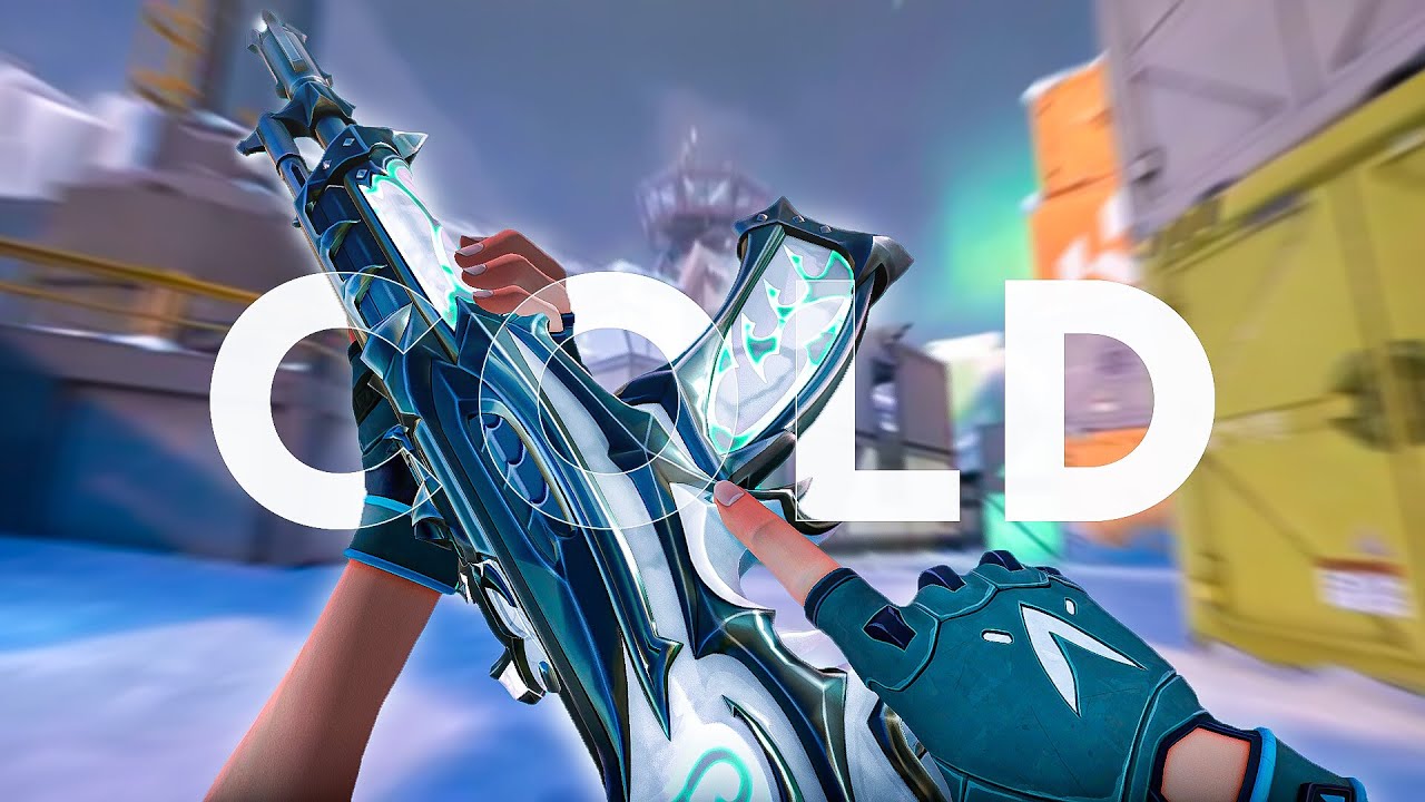 FEIN - ( Valorant Montage )