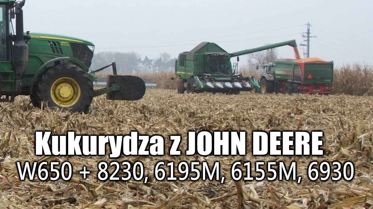 Kukurydza z John Deere W650 + ciągniki 8230, 6195M, 6155M, 6930 - VIDEO