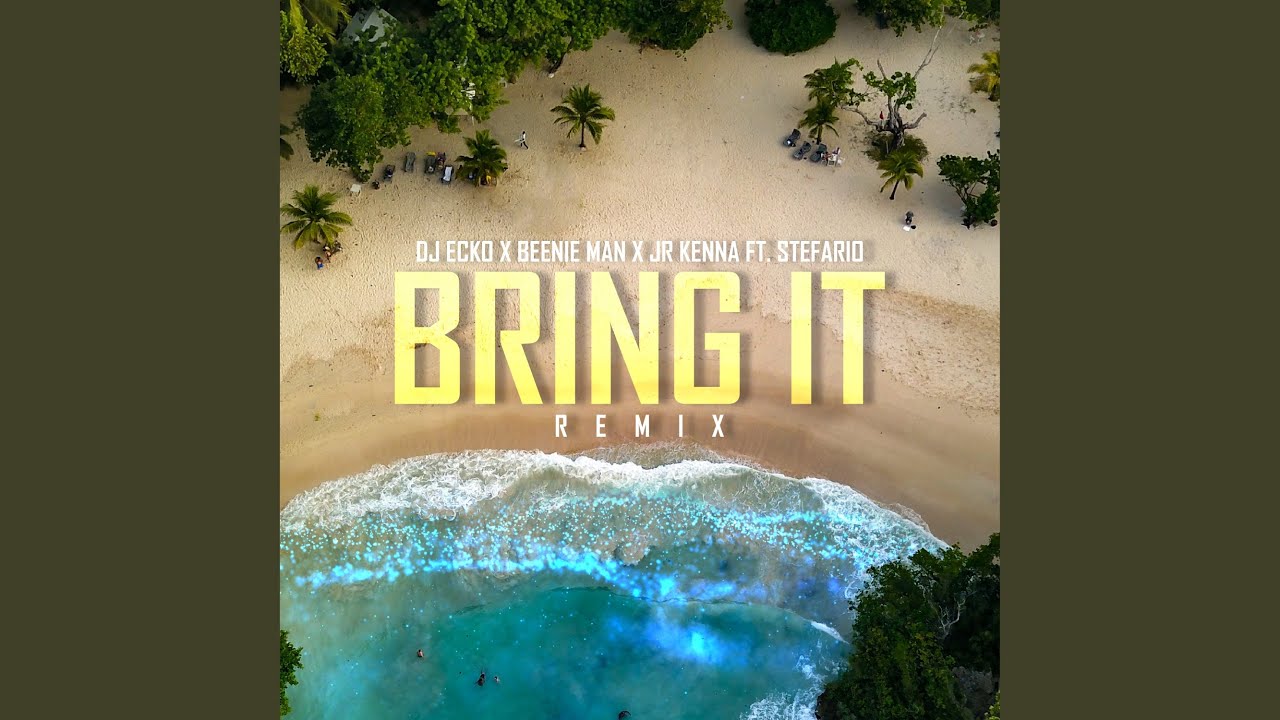 Bring It (Remix)