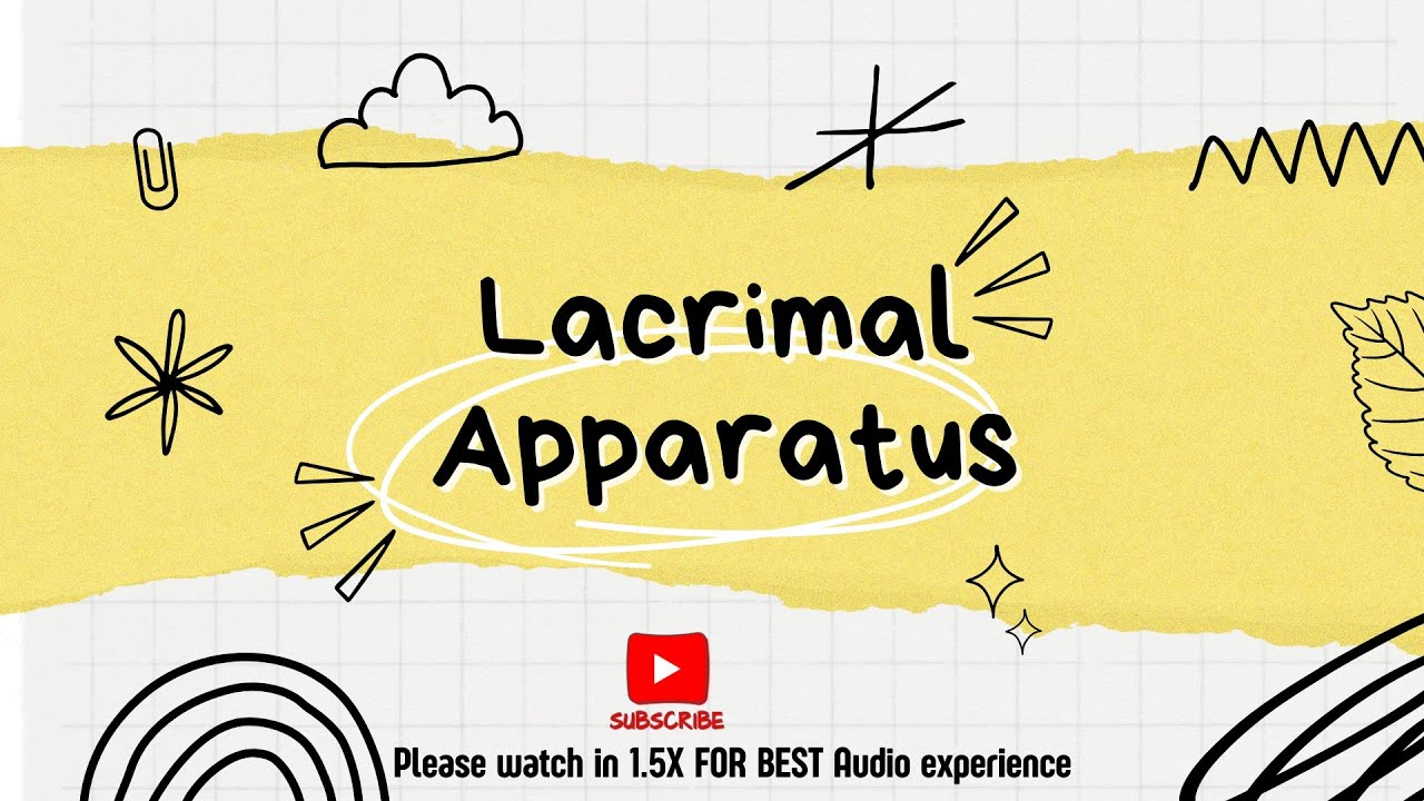 Lacrimal Apparatus | Lacrimal glands | Parts of lacrimal Apparatus