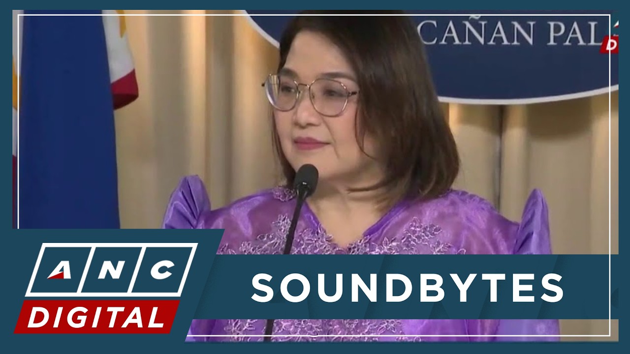 Palace hits Suntay: 'Seryoso ang pagbabanta sa buhay ng pangulo' | ANC