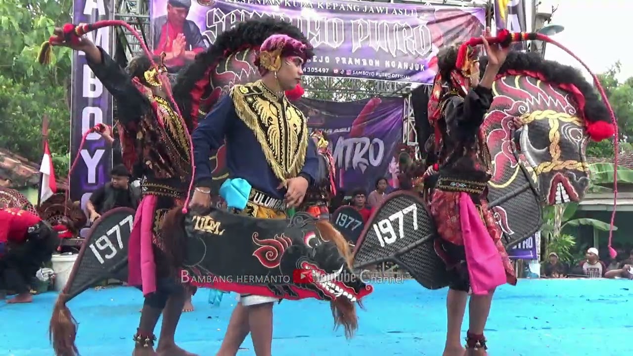 Perang Celeng Jaranan SAMBOYO PUTRO Live Pehwetan Papar