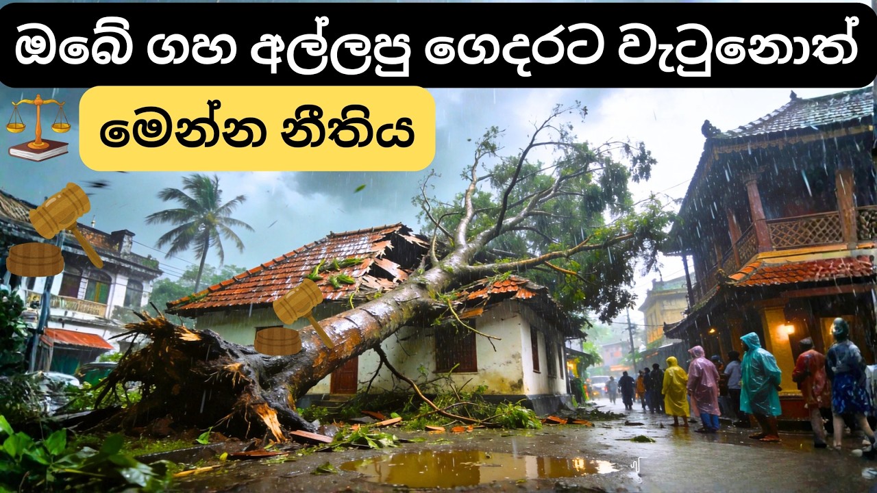 ඔබේ ගහ අල්ලපු ගෙදරට වැටුනොත් | Sri Lanka property #property