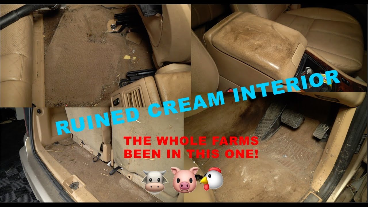 Filthy cream interior gets a makeover - disaster asmr detail Filthy Dirty S1 EP11