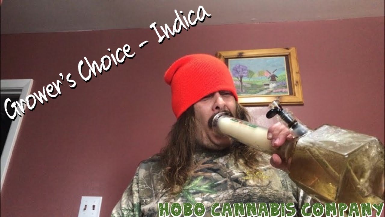 Cigrit Reviews &ldquo;Grower&rsquo;s Choice - Indica