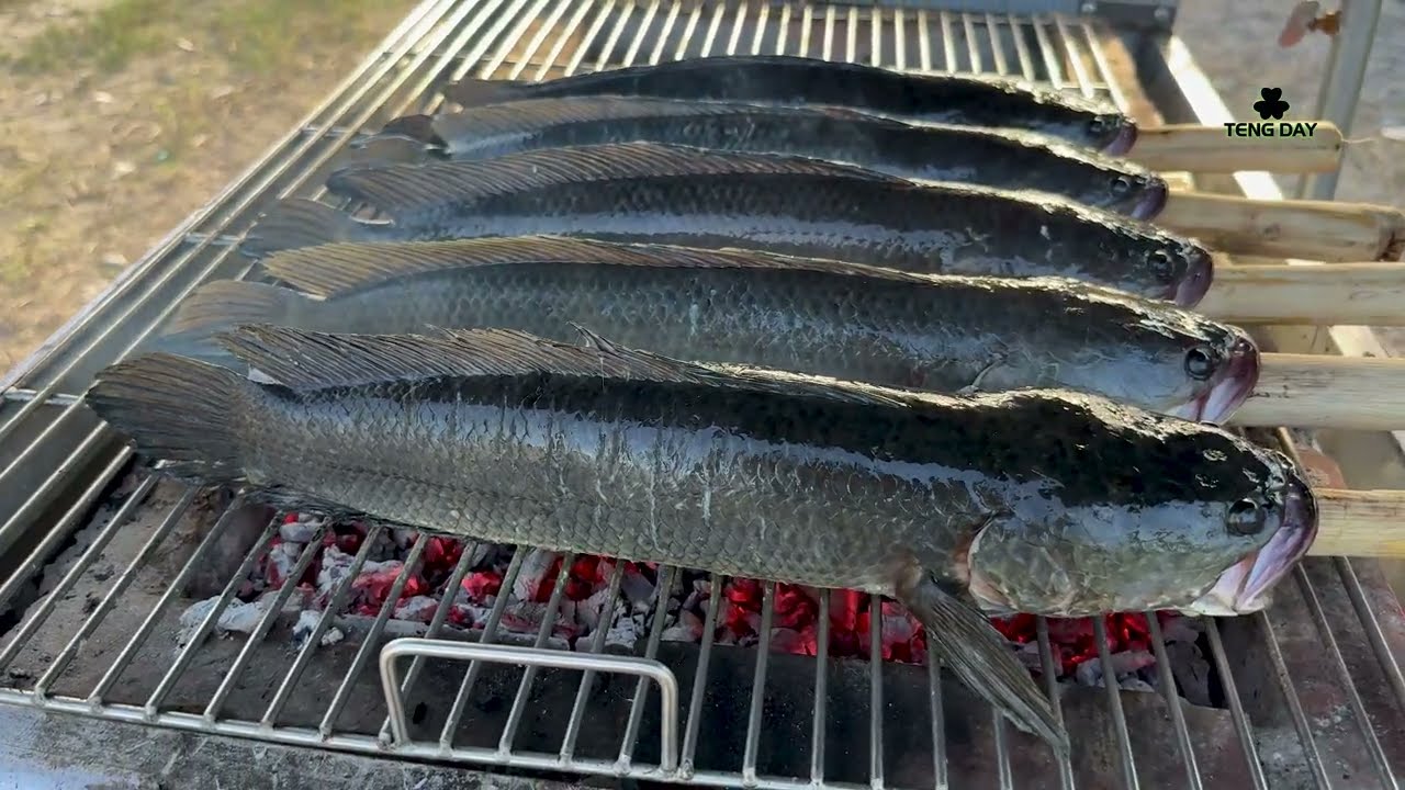 CHÚ 55 TUỔI TỪ SÀI GÒN RA MIỀN BẮC | KHỞI NGHIỆP NƯỚNG CÁ | GRILL FISH