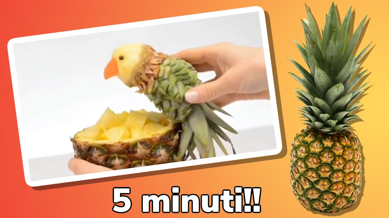 Come Fare un pappagallo con Ananas in 5 Minuti