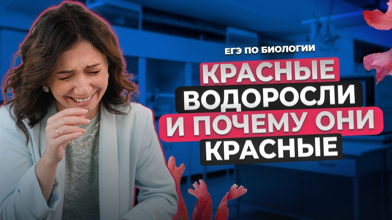 ПОЧЕМУ КРАСНЫЕ ВОДОРОСЛИ – КРАСНЫЕ, И КАКОЙ ОНИ ПОБИЛИ РЕКОРД?